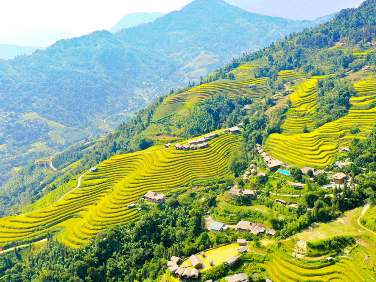 Explore Hoang Su Phi: Vietnam’s Terraced Paradise with VietNam Indochina Travel