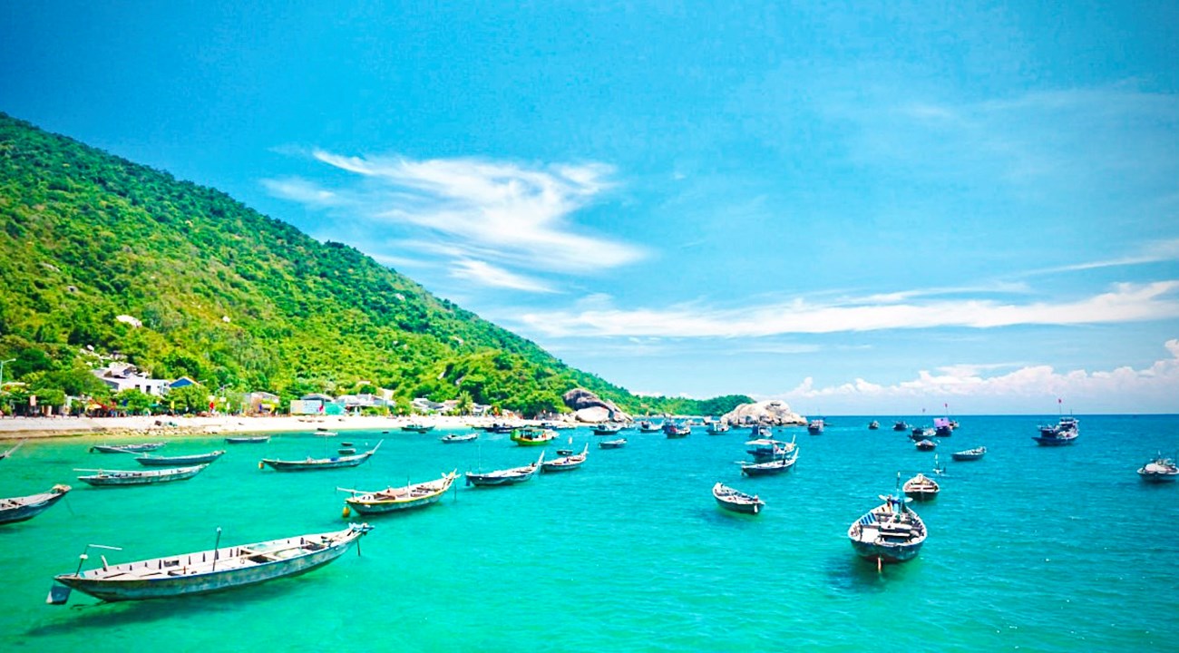 Cu Lao Cham (Cham Islands): Vietnam’s Untamed Marine Paradise