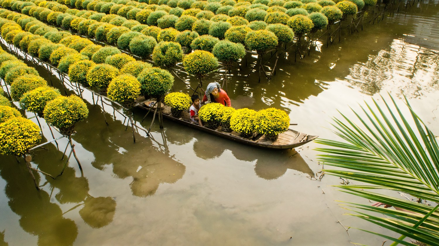 A Complete Guide to Sa Dec Flower Village: The Blossoming Gem of Southern Vietnam