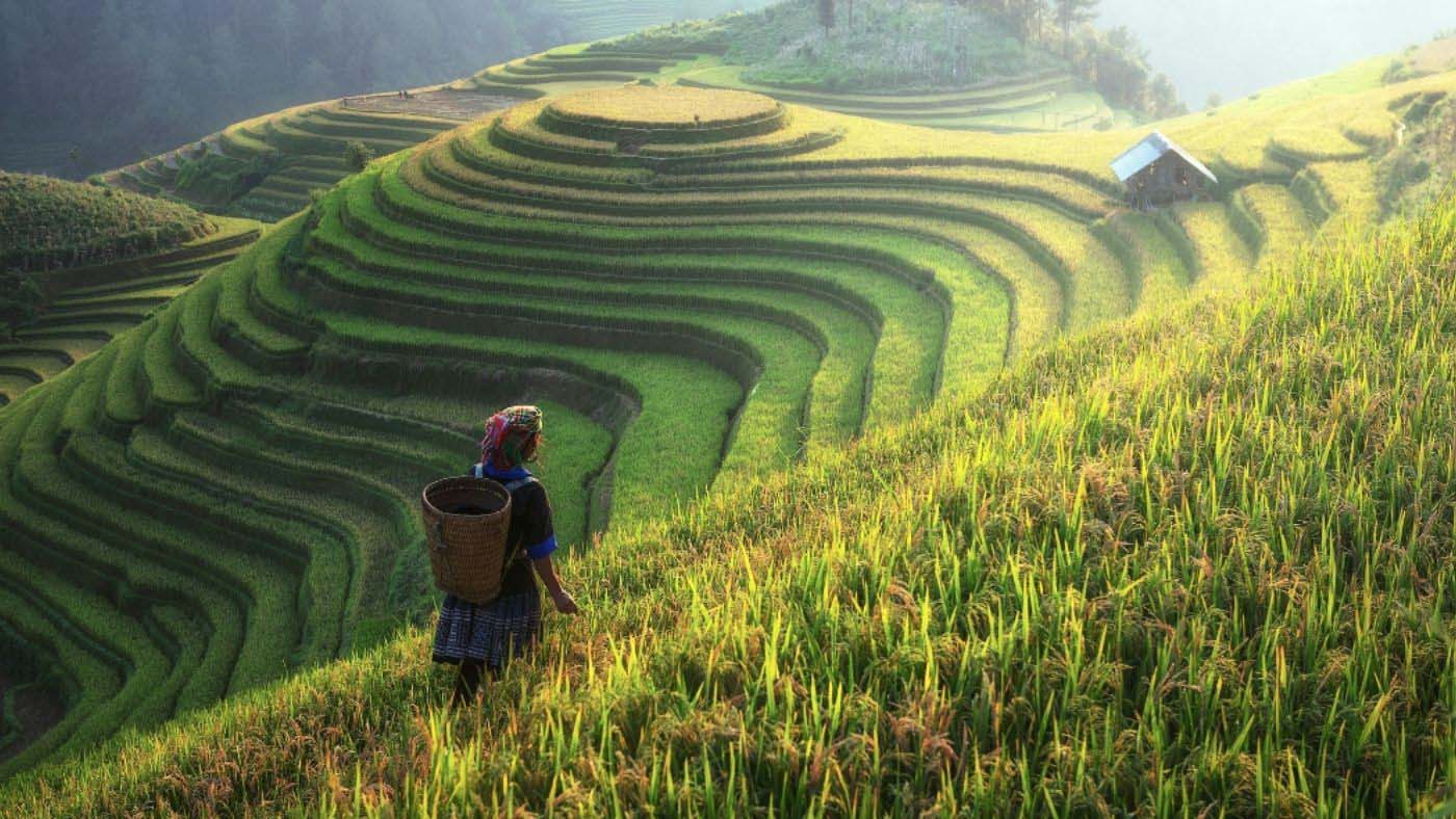 Mu Cang Chai Weather Guide: Best Times to Visit & What to Expect