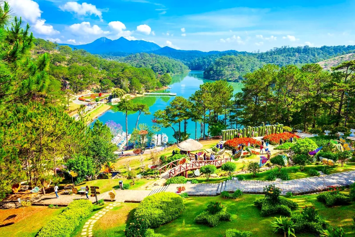 Dalat at the End of the Year: A Magical Journey Through Flowers, Clouds, and Cool Breezes