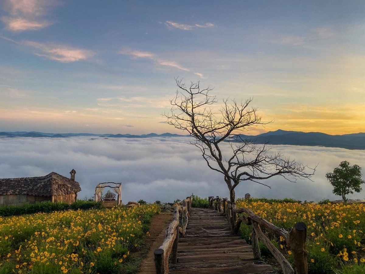 Da Lat Travel Guide: When to Visit, What to Do, and What to Eat